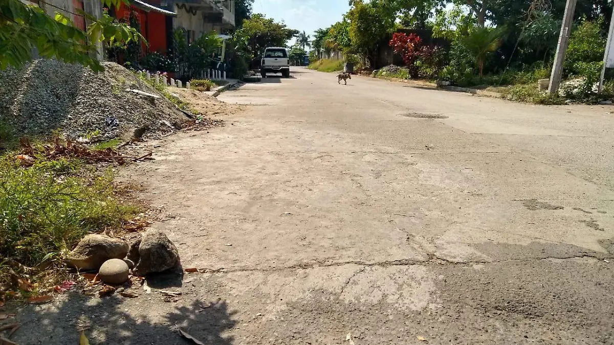 colonos seguridad